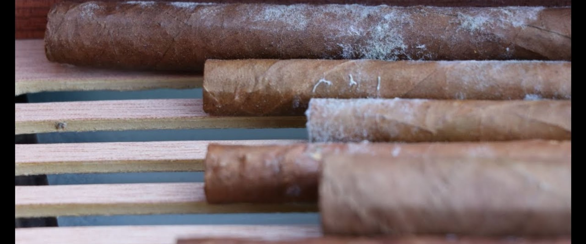 How to Tell if a Cigar is Fresh or Not